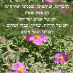 pesach2d
